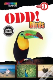 Capa do artigo Odd! Birds