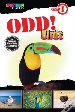 Capa do artigo Odd! Birds