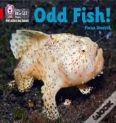 Odd Fish!