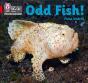 Odd Fish! - Preview