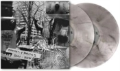Capa do artigo Oddities & Rarities 2001-2004 - Vinil