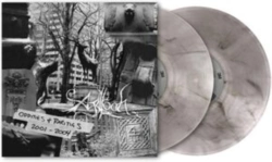 Capa do artigo Oddities & Rarities 2001-2004 - Vinil