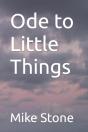 Ode To Little Things - Preview