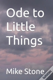 Capa do artigo Ode To Little Things