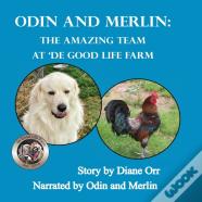 Odin And Merlin