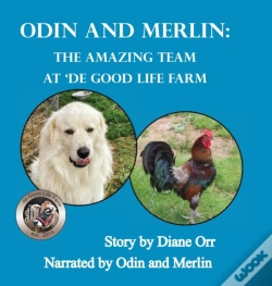 Capa do artigo Odin And Merlin