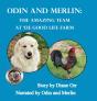 Odin And Merlin - Preview