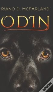 Capa do artigo Odin