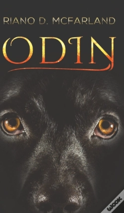 Capa do artigo Odin