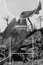 Odisseia - Preview