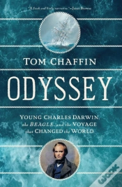 Capa do artigo Odyssey