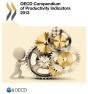 Oecd Compendium Of Productivity Indicators 2013 - Preview