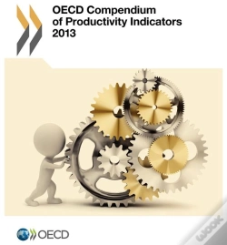 Capa do artigo Oecd Compendium Of Productivity Indicators 2013