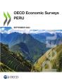 Oecd Economic Surveys: Peru 2023 - Preview