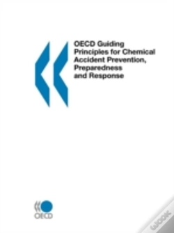 Capa do artigo Oecd Guiding Principles For Chemical Accident Prevention, Preparedness And Response