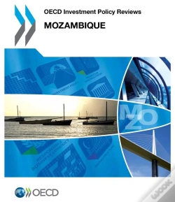 Capa do artigo Oecd Investment Policy Reviews : Mozambique 2013