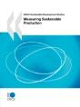 Oecd Sustainable Development Studies Measuring Sustainable Production - Preview