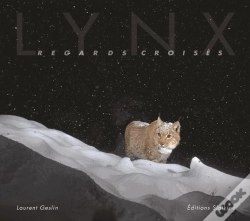 Capa do artigo Oeil De Lynx