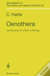 Oenothera