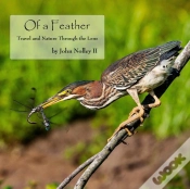 Capa do artigo Of A Feather