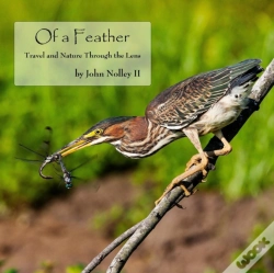 Capa do artigo Of A Feather