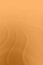Of Dishes And Discourse - Preview