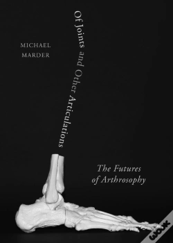 Capa do artigo Of Joints And Other Articulations