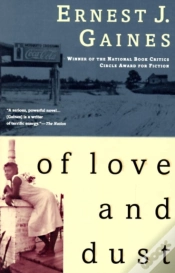 Capa do artigo Of Love And Dust