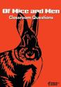 Of Mice And Men Classroom Questions - Preview