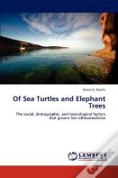 Of Sea Turtles And Elephant Trees
