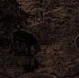 Of Stone, Wind & Pillor - Vinil - Preview