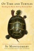 Of Time And Turtles