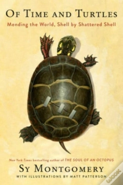 Capa do artigo Of Time And Turtles