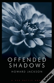 Capa do artigo Offended Shadows