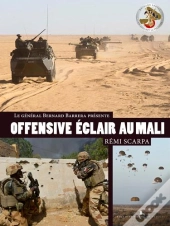Offensive Eclair Au Sahel, La Brigade Serval Au Combat