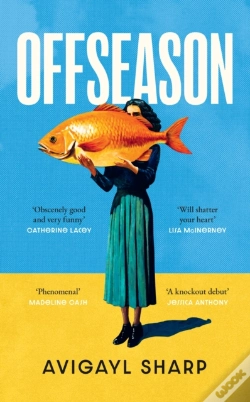 Capa do artigo Offseason