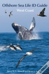 Offshore Sea Life Id Guide