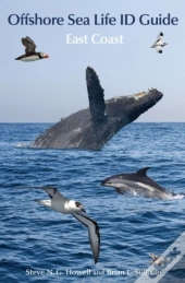 Offshore Sea Life Id Guide
