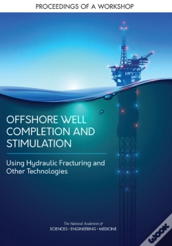 Capa do artigo Offshore Well Completion And Stimulation