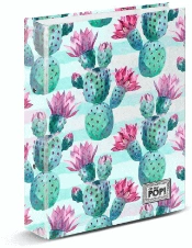 Capa do artigo Oh My Pop! Nopal Pasta de 2 Anéis, Multicolorido