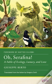 Capa do artigo Oh, Serafina!