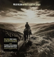 Capa do artigo Oh What A Beautiful World - Vinil