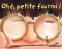 Ohé, Petite Fourmi ! - Preview
