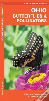 Capa do artigo Ohio Butterflies & Pollinators