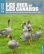 Oies Et Canards - Preview