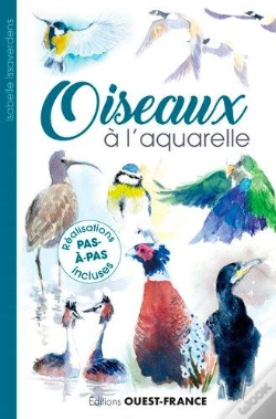 Capa do artigo Oiseaux À L'Aquarelle