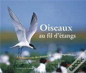 Capa do artigo Oiseaux Au Fil D