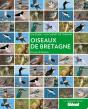 Oiseaux De Bretagne - Preview