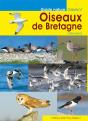 Oiseaux De Bretagne - Preview