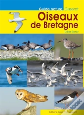 Oiseaux De Bretagne